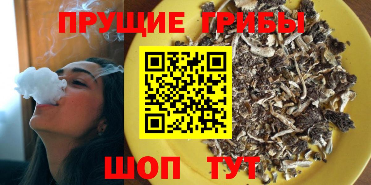 продажа наркотиков  Вход с VPN  Тимашёвск  Псилоцибиновые грибы Magic Shrooms 